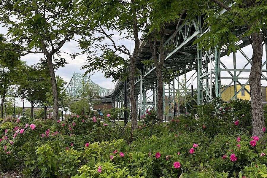 Landscaping features