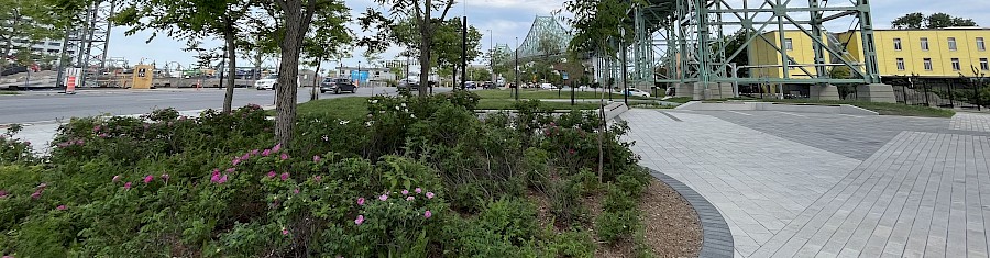 Landscaping features